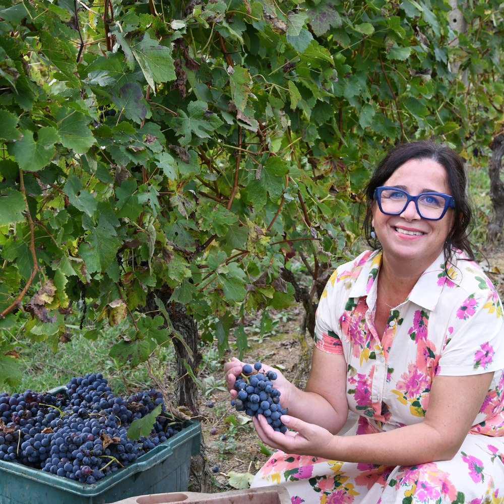barolo vinprovning